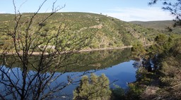 Rio Tajo, Reflctions on a calm warm late March afternoon